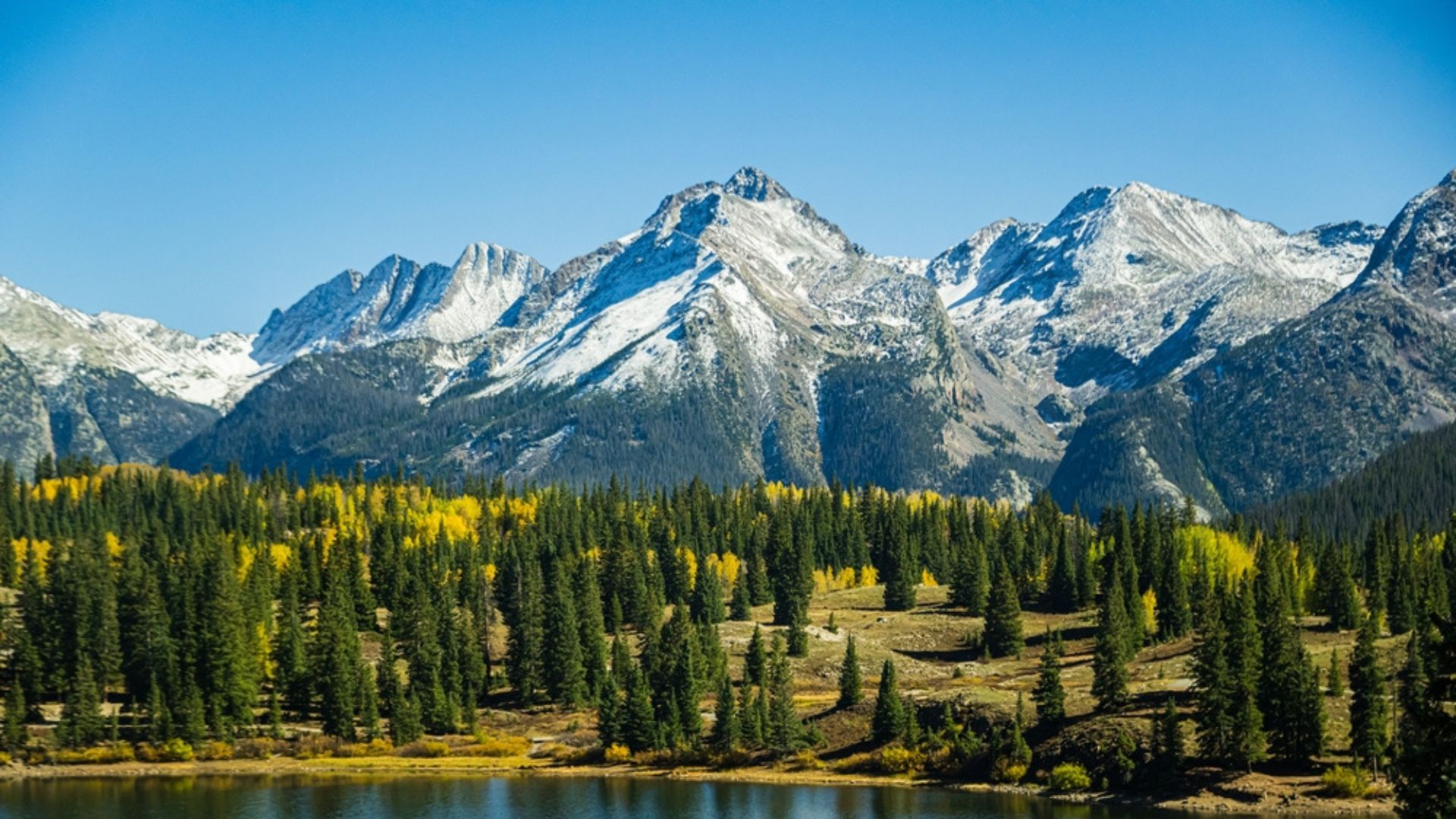 Sundance Film Festival