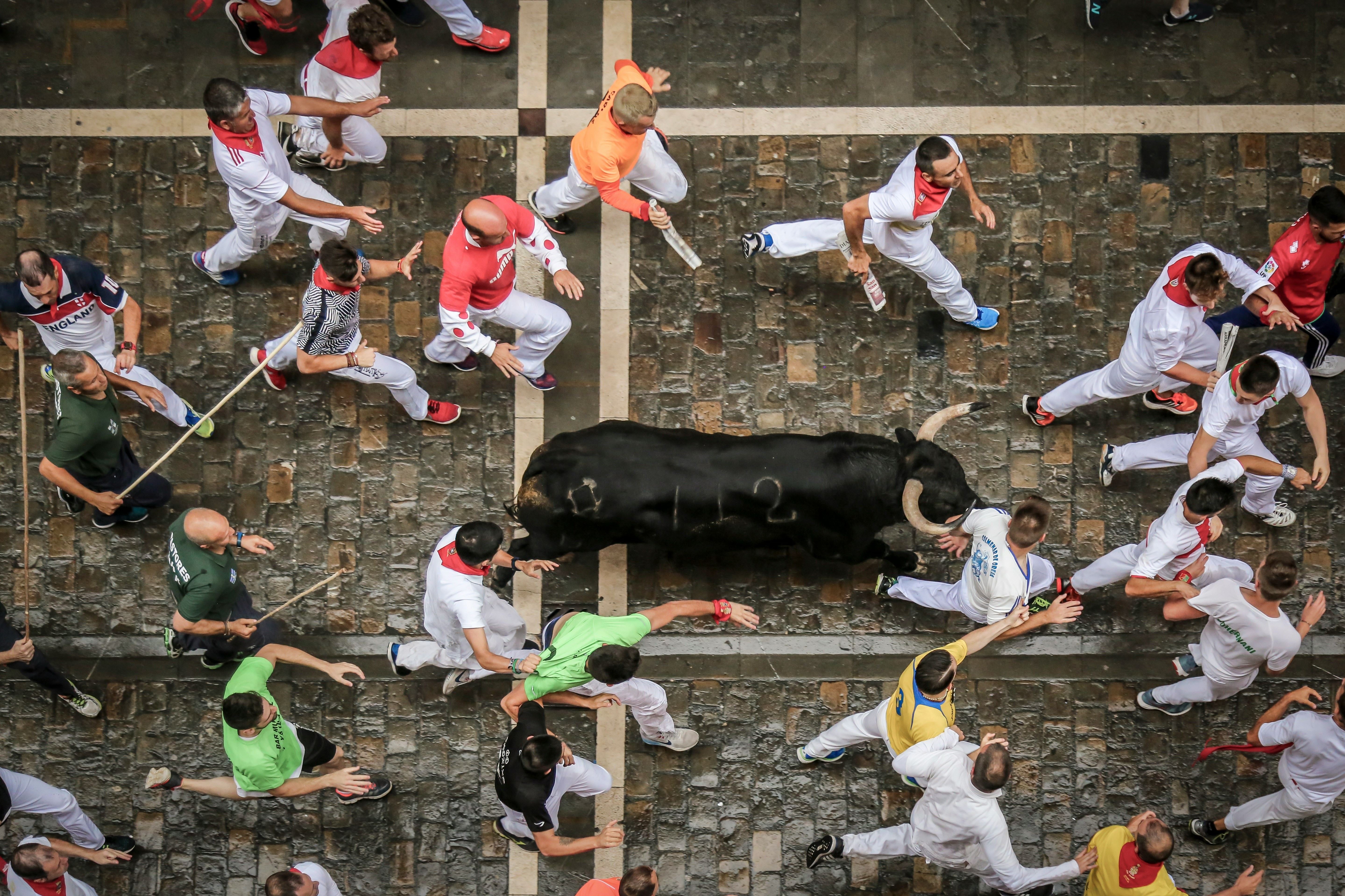 Running of the Bulls